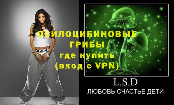 ПСИЛОЦИБИНОВЫЕ ГРИБЫ Алзамай