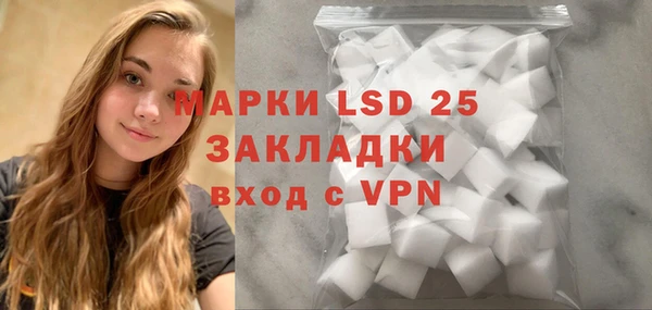 ПСИЛОЦИБИНОВЫЕ ГРИБЫ Алзамай