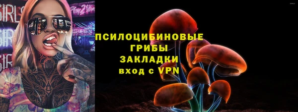 амф Алексин