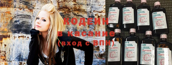 ПСИЛОЦИБИНОВЫЕ ГРИБЫ Алзамай