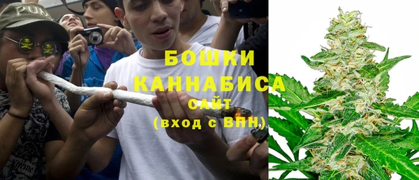 ПСИЛОЦИБИНОВЫЕ ГРИБЫ Алзамай