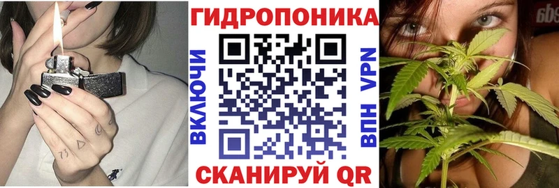 Конопля OG Kush  купить закладку  Пущино 